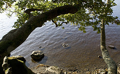 Derwentwater