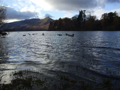 Derwentwater