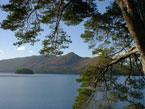 Catbells from Friers Crag